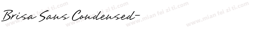 Brisa Sans Condensed字体转换
